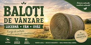 Vând baloții de ovăz 