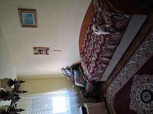 Vând apartament 4 camere în zona Dacia - imagine 3