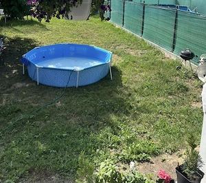 Duplex 4 Camere Centrală Proprie Zona Mosnita Nouă  - imagine 6