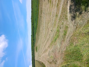 Teren extravilan de vanzare  - imagine 2