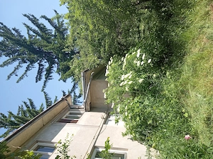 Teren 11000 mp și casa 200 mp - imagine 2