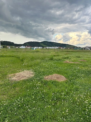 Vând teren intravilan Sânpetru 620 m2 - utilități, zonă liniștită