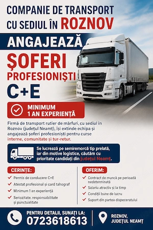Angajam sofer profesionist CE pentru intern extern