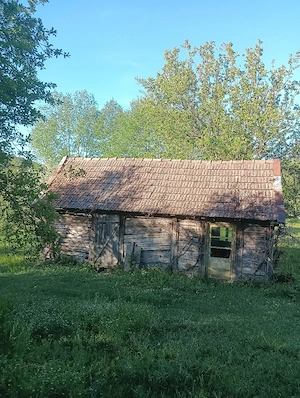Teren de vanzare 4ha