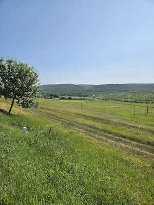 Vand Teren 7200 mp - E581 si Teren 2000 mp - Cretestii de Sus, Husi, Vaslui - imagine 2