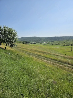 Vand Teren 7200 mp - E581 si Teren 2000 mp - Cretestii de Sus, Husi, Vaslui - imagine 9