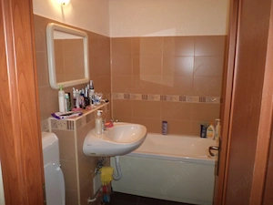 Apartament 1 camera str.Cerna