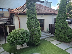 Proprietate ultracentrală, două case, aprox. 250 mp - imagine 2