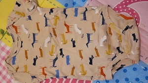 Body bebe băiat 18 luni