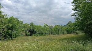 Teren intravilan 1512 mp   Oras Pătârlagele Buzau