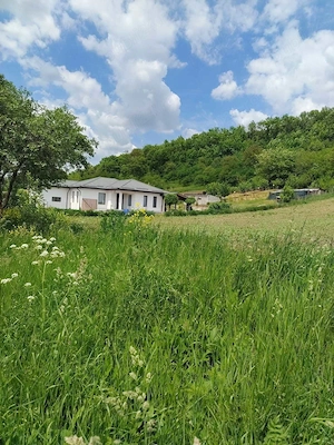 Casă nouă de vânzare în Cerghid (Mureș)   2 dormitoare, teren 1.600 mp - imagine 10