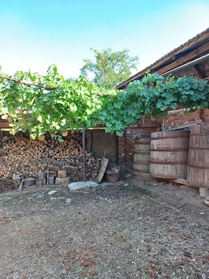 Casa de vânzare zona Cheile Nerei - jud. Caraș-Severin - imagine 4