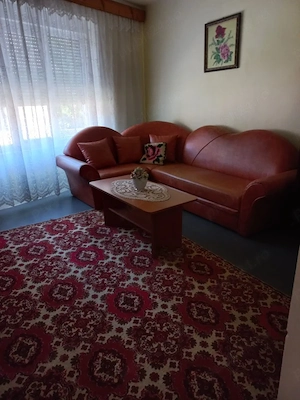 Casa de vânzare zona Cheile Nerei - jud. Caraș-Severin - imagine 8