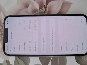 iPhone 13 Pro 1TB Graphite - Impecabil 10 10 - Baterie 100% 