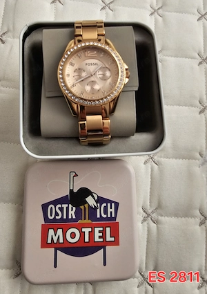 Ceas Fossil ES 2811