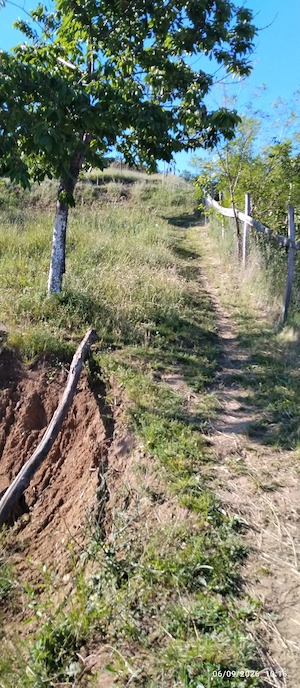 Teren de vinzare comuna Sasciori 