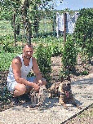 mascul malinois - imagine 4