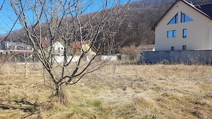 Sacele-Bunloc|Teren intravilan|531 mp|Front 27 m|Intre case|Toate utilitatile - imagine 6
