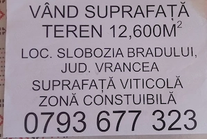  Teren de vânzare