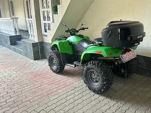 Arctic cat  - imagine 2