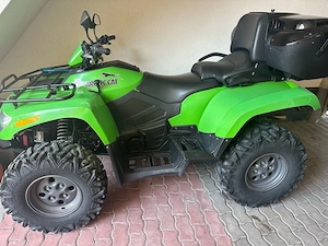 Arctic cat 