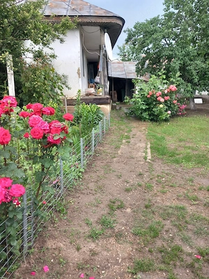 Vand teren intravilan pentru casa in Crucea de Jos, Panciu, Vrancea - imagine 2