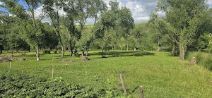 Casa de vanzare Zaharesti, Suceava - imagine 10