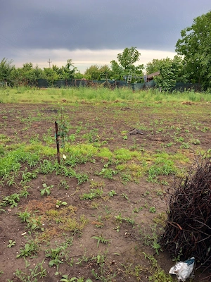 Vand teren intravilan pentru casa in Crucea de Jos, Panciu, Vrancea - imagine 7