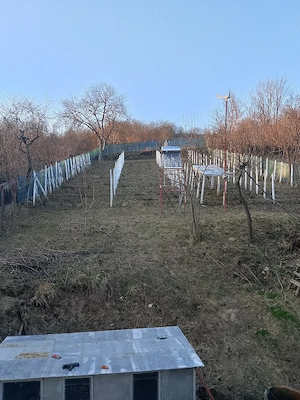  Casă cu teren în Valea Seacă județul Bacău - imagine 9