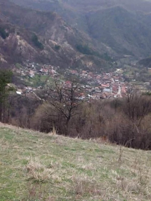 Casă cu gradină  de vânzare  - imagine 9