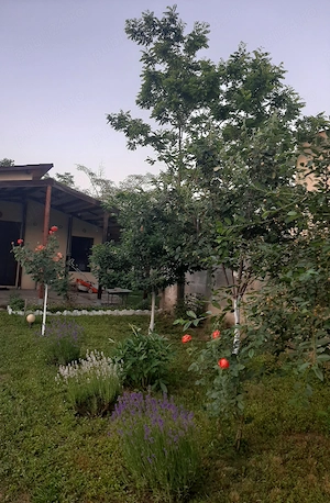 Teren și casa de vacanta cu iesire la lacul Milcov.  - imagine 8