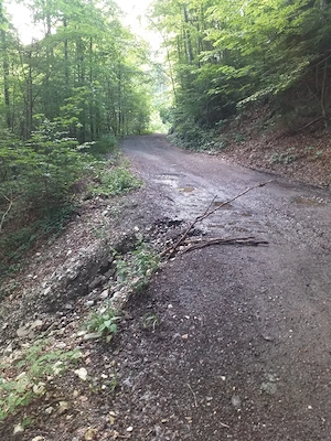 Teren intravilan, Sinaia, in oras !!  64 e mp - imagine 5