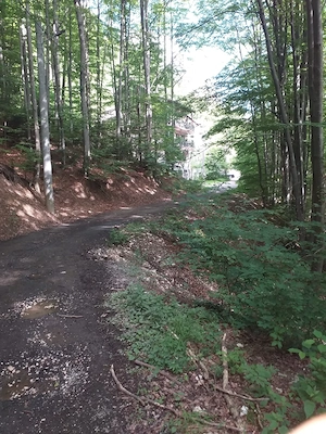 Teren intravilan, Sinaia, in oras !!  64 e mp - imagine 9