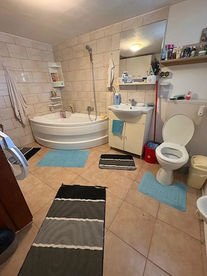 Casa 3  camere Comuna Jilava - imagine 6