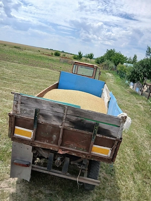 vand cereale