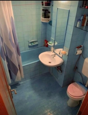 Calea Torontalului, apartament 3 camere, decomandat, chirie 400 euro  - imagine 9