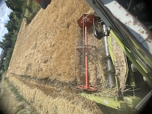 De vânzare claas dominator 76 - imagine 2