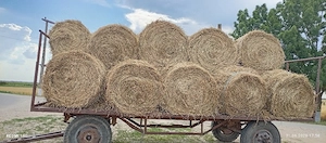 Vând baloți rotunzi de lucernă cu fân 