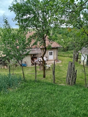 Casa de vânzare la țară  - imagine 4
