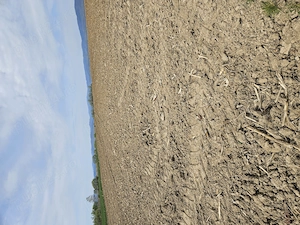 Vanzare teren agricol  - imagine 2