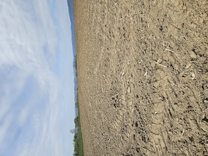 Vanzare teren agricol  - imagine 4