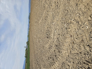 Vanzare teren agricol  - imagine 3