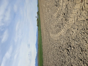 Vanzare teren agricol 