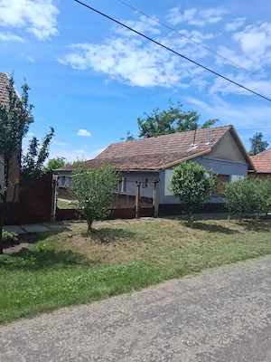 Vand casa in Ungaria 