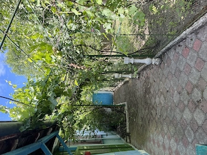 Vând casă în centrul localității Moravița - imagine 10