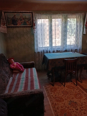 Vând casa în comuna Rugasesti ,jud Cluj  - imagine 5