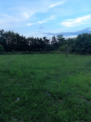 Casa 120 m pătrați și teren vânzare 29 de arii - imagine 3