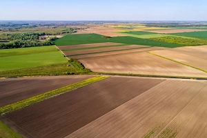 Teren agricol Cultivat si ingrisit 