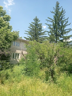 Teren 11000 mp și casa 200 mp - imagine 6