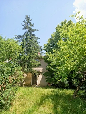Teren 11000 mp și casa 200 mp - imagine 7
